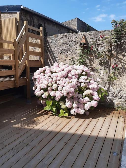 Champetre - Gite Entierement Neuf A 100 Metres De La Plage ヴィムルー エクステリア 写真